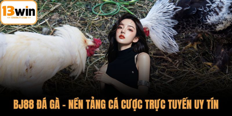Bj88 đá gà