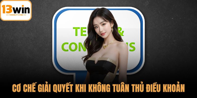 Điều khoản nhà cái 13WIN