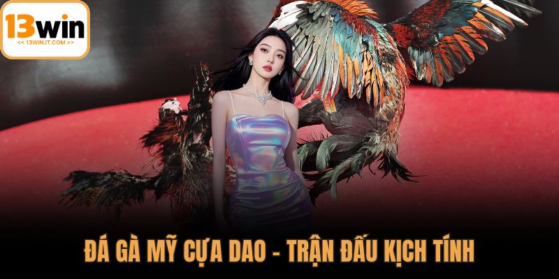 Đá gà Mỹ cựa dao